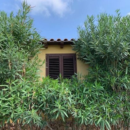 Villa Maveda, Un Dammuso Immerso Nel Verde Лампедуза Екстер'єр фото
